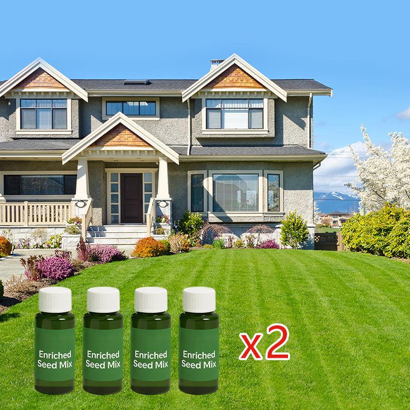 🔥Last Day 50% OFF🌱 Bring Your Dead Grass Back to Life