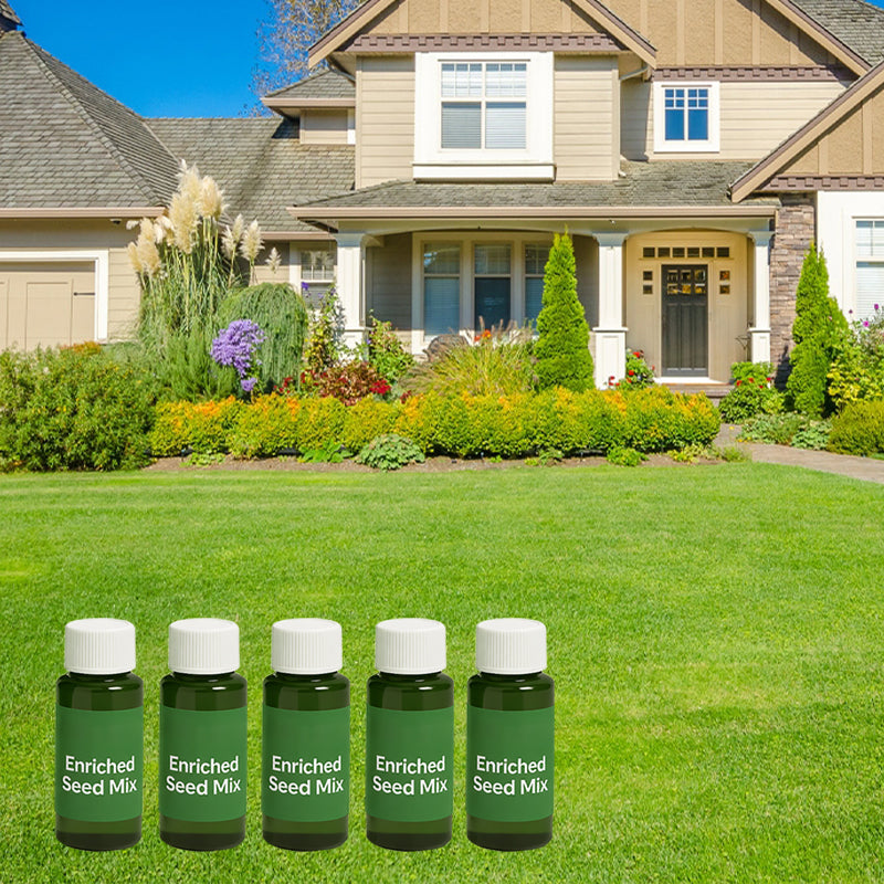 🔥Last Day 50% OFF🌱 Bring Your Dead Grass Back to Life