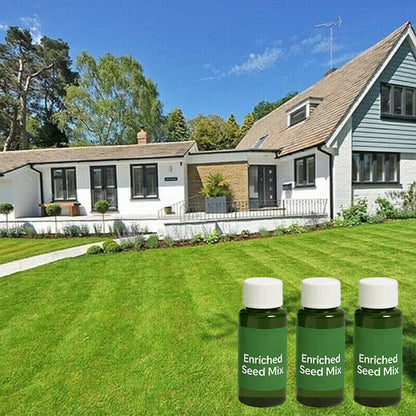 🔥Last Day 50% OFF🌱 Bring Your Dead Grass Back to Life
